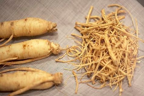 sâm tươi hiệu quả
